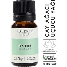 Mabelme Polente Natural - Çay Ağacı Uçucu Yağı - Organik (10 Ml)