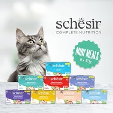 Al-Kar Ticaret Schesir Yetişkin Kedi Konservesi Somonlu 50 G x 6 Adet