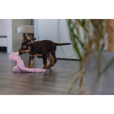 Al-Kar Ticaret Yavru Köpek Oyuncağı,, Peluş, Pembe, 43X24X4CM