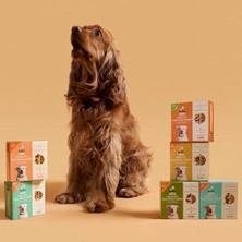 Al-Kar Ticaret Kito Fresh Dana Etli Köpek YEMEĞI%100 Taze Içerikli Mama 250 gr