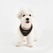Al-Kar Ticaret Puppia Soft Harness Iı - Küçük ve Orta Boy Köpekler Için Yumuşak Köpek Kayışı - Çok Rahat ve Ayarlanabilir, Siyah, S
