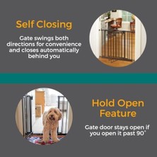 Al-Kar Ticaret Mypet Windsor Hold-Open & Auto-Close Basınç-Montaj Pet Kapısı: Ağır Hizmet Tipi Çelik Kapı 72,4 cm Boyunda, Mat Bronzda 28 "ila 38" Genişliğinde Iki 5" Uzantı ile Birlikte Gelir