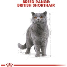 Al-Kar Ticaret Canin British Shorthair Adult Pouch Konserve Kedi Maması 85 gr