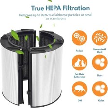 Mabelme Filtre + Karbon Filtre ile Uyumlu HP04 TP04 DP04 PH04 HP09 TP09 HP07