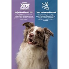 Al-Kar Ticaret Reflex Plus Ms Somonlu Köpek Maması 8 kg