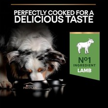 Al-Kar Ticaret Pro Plan Medium Adult Kuzu Etli Köpek Maması 14 kg