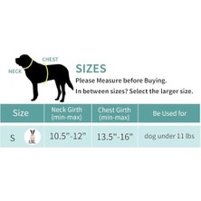 Al-Kar Ticaret Küçük Köpek Tasması ve Kayışı, S Beden Çekmeye Karşı Ayarlanabilir Yansıtıcı Nefes Alabilir Mesh Tasma, Kolay Yürüyüş Köpek Tasması, Küçük ve Orta Boy Köpekler ve Kediler Için, Yeşil Renk