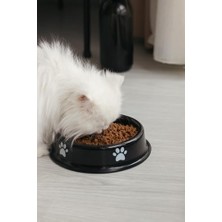 Al-Kar Ticaret Kedi Köpek Mama ve Su Kabı Pati Desen,night