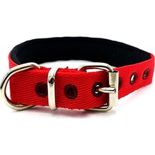 Mabelme Mizgin Küçük Irk ve Yavru Yumuşak Dokulu Köpek Tasması (Kırmızı)