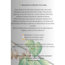 Al-Kar Ticaret PURECANPATI%100 Doğal Matatabi Çubukları – Kediler Için Catnip Alternatifi, Azaltıcı & Diş Temizleyici Çiğneme Oyuncağı (3’lü Paket)