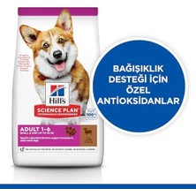 Al-Kar Ticaret Hill's Sp Kuzulu ve Pirinçli Küçük ve Mini Irk Yetişkin Köpek Maması 5+1kg