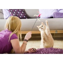 Al-Kar Ticaret Kedi Oyun Oltası, Renkli Kedi Oyuncağı, Elastik Tüylü Pelüş Kedi Oyuncak, Kedi Oltası Tüylü, Olta Eğitim Oltası(1 Adet)