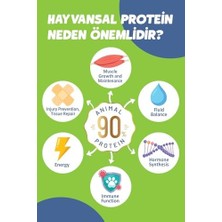 Al-Kar Ticaret Yetişkin Somon'lu Süper Premium 1,5 kg Somonlu Kedi Maması - Hipoalerjenik - Düşük Tahıllı - Yüksek Hayvansal Protein Oranlı - Tüy Dökülme Engelleyici - Kolay Sindirilebilir - Kuru Kedi Maması