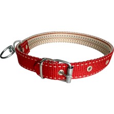 Al-Kar Ticaret Tasma Atalier Köpek Boyun Tasması (Kırmızı)