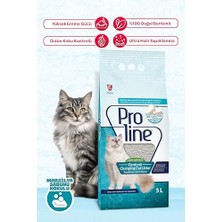 Al-Kar Ticaret Proline Bentonit Sabun Kokulu Kedi Kumu, 5 L