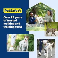 Al-Kar Ticaret Petsafe Keepsafe Kırılabilir Yaka, Köpeğiniz Veya Yavru Köpeğiniz Için Yaka Kazalarını Önleyin, Güvenliği Artırın, Tasma Kullanımı ile Uyumlu, Ayarlanabilir Boyutlar