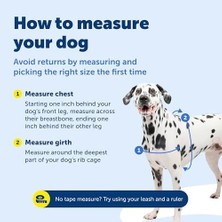 Al-Kar Ticaret Petsafe Deluxe Easy Walk Köpek Koşum Takımı