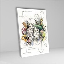 Mabelme Tekli Dikey Kanvas Poliklinik Tablosu Sanatsal Beyin Bölümleri, 60 x 90
