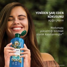 Al-Kar Ticaret Herbal Essences Onarıcı Argan Yağı Saç Bakım Kremi 250ML