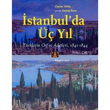 Roy Istanbul'da Üç Yıl, 2.cilt