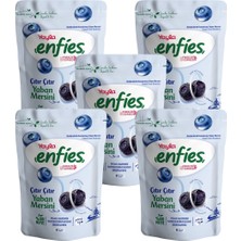 Yayla Enfies Freeze Dried Yaban Mersini 15 G x 5 Adet