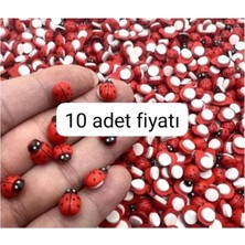 Bodrum Asel Yapışkanlı Uğur Böceği 10 Lu