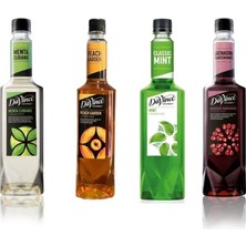 Da Vinci Gourmet 4 lü Şurup Kokteyl Fırsat Seti (Menta Cubano, Şeftali, Nane, Nar) 750 ML