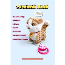 Oem Müzikli Yürüyen Miyavlayan Yalayan Kuyruk ve Başını Sallayan Ses Taklidi Kumandalı Peluş Kedi