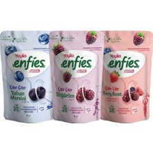 Yayla Enfies Freeze Dried Çıtır Meyve Paketi - 100% Doğal Katkısız Vegan Atıştırmalık Seti