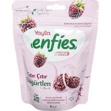 Yayla Enfies Kurutulmuş Böğürtlen 15 gr