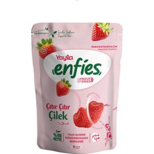 Yayla Freeze Drıed Çilek