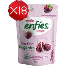 Yayla Enfies Freeze Dried Böğürtlen 15 G x 18 Adet