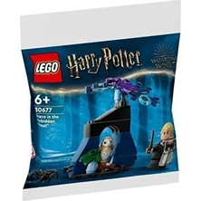 LEGO Harry Potter 30677 Draco In The Forbidden Forest 100 Parça