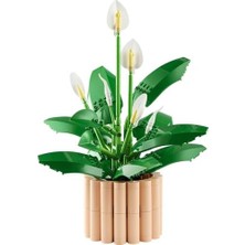 Vuralsin38 Botanicals Barış Çiçeği 11504 - Yetişkin Kadınlar ve Erkekler Için Farklı Aşamalarda 6 Barış Çiçeği Içeren Sevgililer Günü'ne Özel Koleksiyonluk Dekoratif Model Yapım Seti (474 Parça)