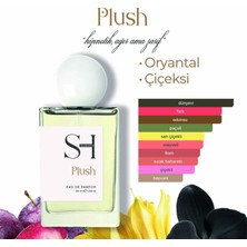 Sh Fragrances Plush Unisex Parfüm | Oryantal-Çiçeksi | Trüf-Ylang Ylang | Orkide-Lotus-Çikolata-Vanilya 50ML