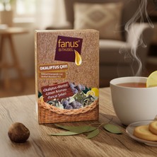 Fanus Okaliptüs Çayı 150GR