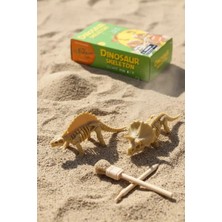 Miniso Lisanslı Dinozor Iskeleti Kazı Seti Blind Box – Sürpriz Figürlü Arkeoloji Oyunu