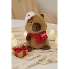 Miniso Mini Dilek Habercisi Serisi Peluş Oyuncak – Yumuşacık Hediye Alternatifi 25 cm
