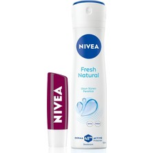 Defne Store Böğürtlen Dudak Bakım Kremi 4.8 Gr, 24 Saat Nemlendirme,böğürtlen Kokusu,ışıltılı Renk,mineral Yağı Içermez + Kadın Sprey Deodorant Fresh Natural 150 ml