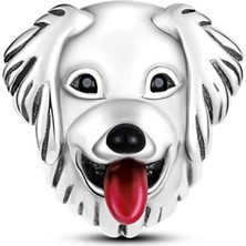 Fubena Gülümseyen Köpek Charm