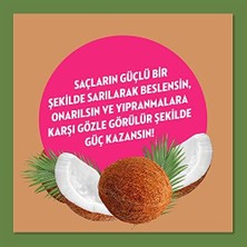 Defne Store Güçlü Saç Uçları Için Hindistan Cevizi Saç Yağı 1 Paket (1 x 80 Ml)