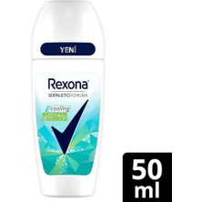 Defne Store Thermocool Kadın Roll-On Deodorant Eucalyptus & Magnolia 50 ml