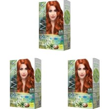 Defne Store Natural Beauty Amonyaksız Set Saç Boyası 8.45 Tarçın Bakır (3 Paketi)