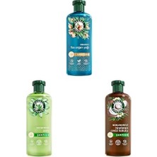 Defne Store Herbal Essences Seti | Onarıcı Argan Yağı Şampuan 350ML X1 + Yatıştırıcı Aloe Içeren Sülfatsız Şampuan 350 ml X1 + Nemlendirici Hindistan Cevizi Kokulu Şampuan 350ML X1
