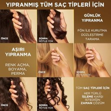 Defne Store Pro-V Miracles Yenilenme Kiti Molecular Repair 5000 Pro-V Besleyici Inci Ile