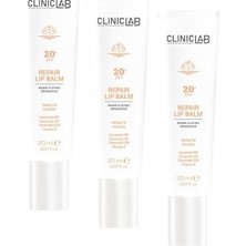 Defne Store Onarıcı Dudak Bakım Lip Balm 20 Spf 20 ml (3 Paketi)