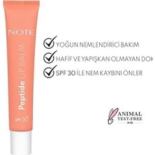 Defne Store Cosmetics Peptide Lip Balm Spf 30 Nemlendirici ve Parlatıcı Renkli Dudak Balmı - 02 Fun Day - Turuncu (3 Paketi)
