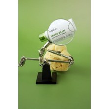 Defne Store Beplain Mung Bean Pore Tight-Up Soothing Cream Yüz Kremi 20ML