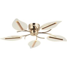 Defne Store Karden 5'li Altın Ledli Plafonyer 36W 3000K