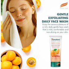 Defne Store Since 1930 Peeling Etkili Hassas Yüz Temizleme Jeli, Kayısı, Aloe, Parabensiz, Tüm Ciltler, 150 ml (3 Paketi)